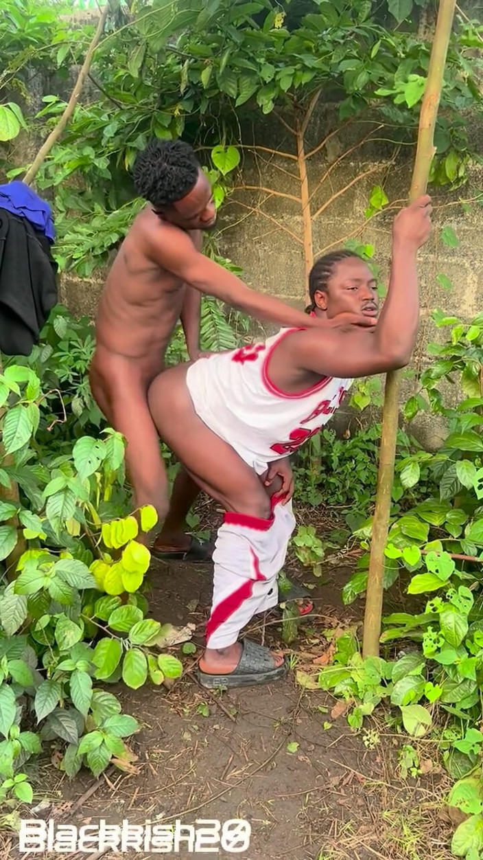 Blackkish20: Having Fun in the Presence of Nature