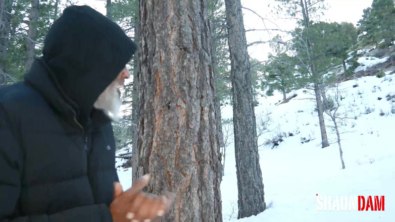 Shaundam: The Legend of the Snowbunny