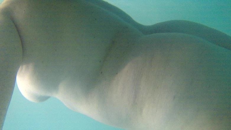 Florance Wimps: Sualtı