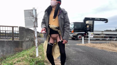 megu2002: 자가 훈련 No. 33 고속도로를 따라 걷는 새는 산책