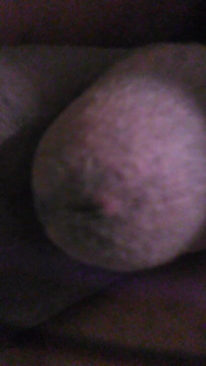 Byron Doggy Dog: Byron is searching for a woman