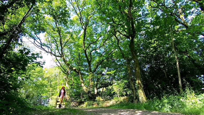 The Midnight Minx: Woodland short cut