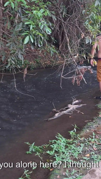 Estranhos são pegos fazendo sexo na cachoeira.