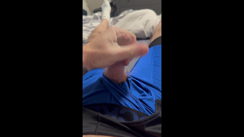 Picoo: Beruang merah bocor di rumah