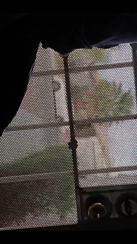 Waiting on My Amazon Delivery