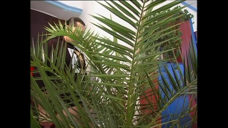 Forte porno TV xxx - (Just the best full movies): Sladké hříchy obžerství (plná HD verze filmu)