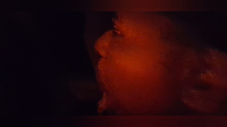 Wildwood21519: Cum in Mouth Compilation Prt.2
