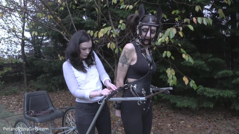 Her Kink UK: Sepetleme