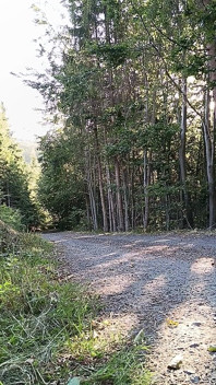 Scooter Rider Outdoor Masturbation