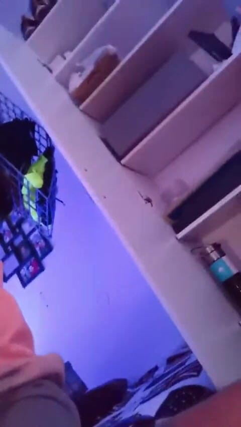 Costiro: 在网络摄像头上打手枪