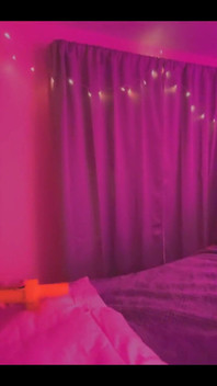 Not Invited Sir Stinkbug