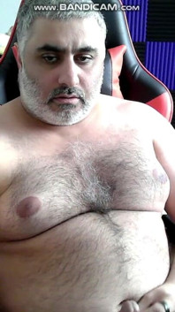 Solo Bear