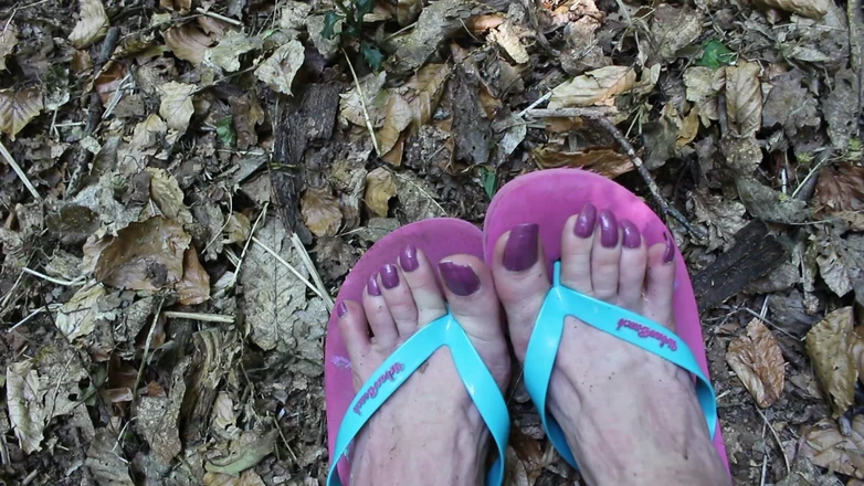Lilly Disgrace: Pies de mariquita en el bosque