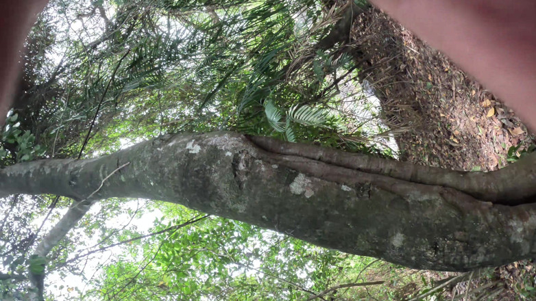 Labigassa: Being Outdoors Is Hotter, Especially When You Feel Like You're...