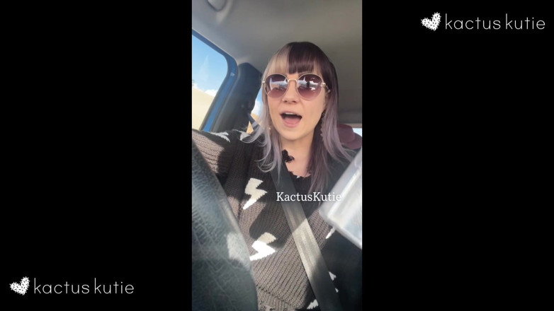 Kactus kutie: Christmas Road Trip Pees 2