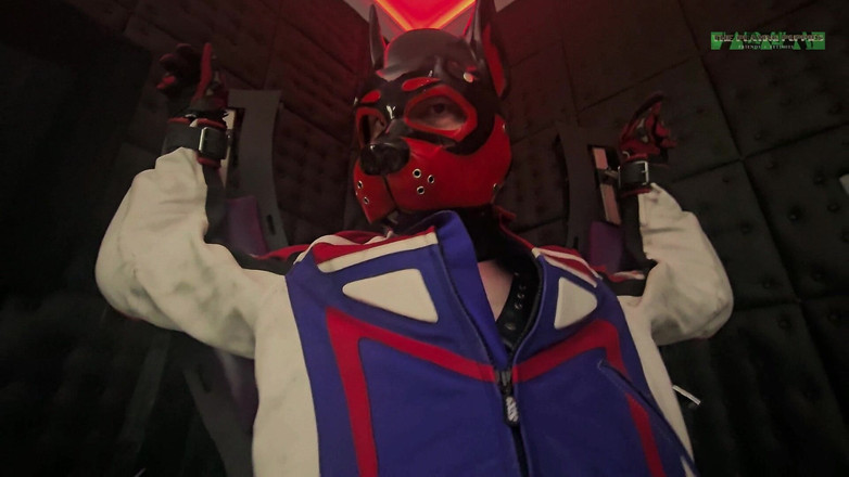 The Playing Puppies: Playing Puppies Pleasure on the Cross Part 1