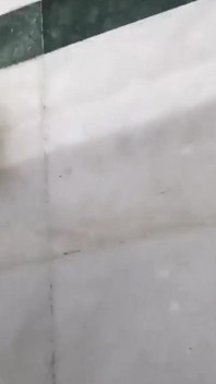 ดูดควย