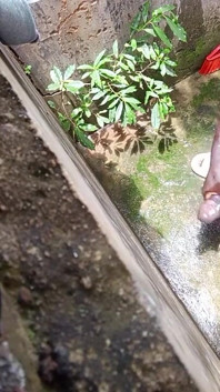 Kote hitam besar creampies di atas lantai