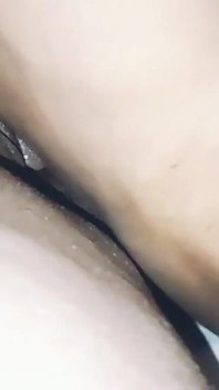 젊은 자지