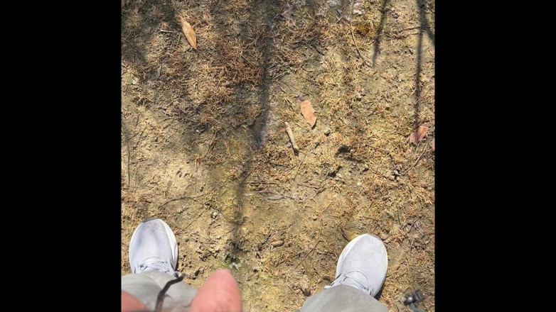 The newhere: Piss Outdoors та ще більше збірок
