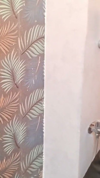 Saya mengongkek pembantu rumah; Ia berbulu sangat bagus.