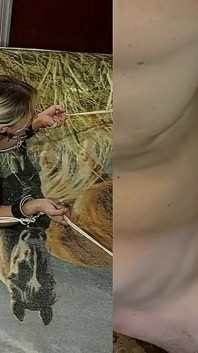Překvapení Painal 142