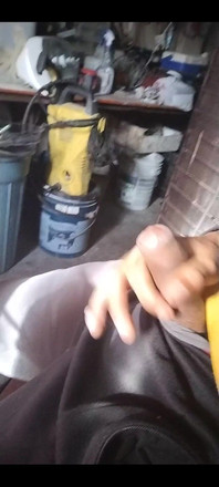 3131697031.mp4
