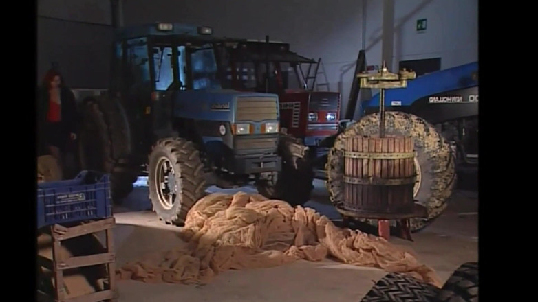 Vintage megastore: Video porno vintage italiano con una impresionante pelirroja follada en...