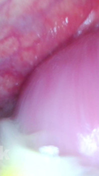 Extreme POV Inside the Action Fuck All Holes My Stepsis with Endoscopy Jessijek