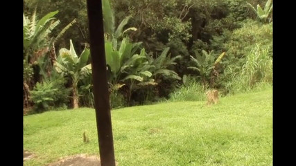 Planet Shemale: ट्रांस समुदाय के बड़े लंड और गांड चुदाई के लिए प्यार