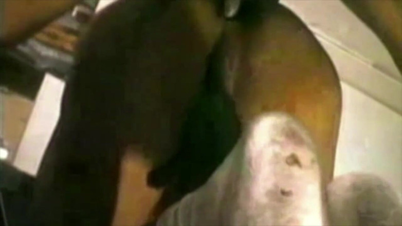 GAY VINTAGE PORN: Lucah vintaj. Kongkek eboni dalam sox