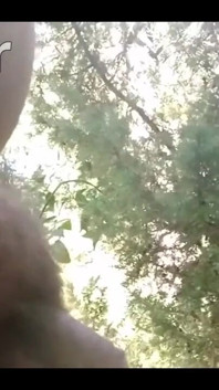 Pissing in My Backyard