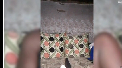 DivineAssGoddess: Teman wanita eboni yang sempurna: gaya, pesona, dan kebahagiaan