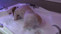 Ardientes69: Bevor ich den riesigen schwanz meines Chefs genieße, gehe ich...