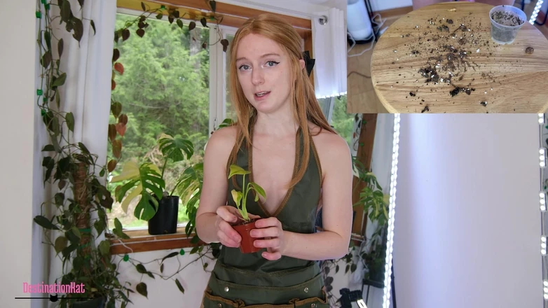 Destination Kat: Gardening with Kat- Repotting Monsteras Sfw