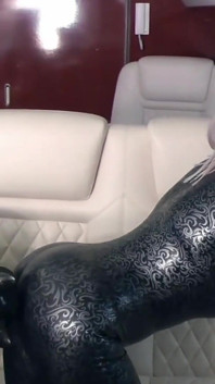Latex Rubber Petplay - Positive Femdom Roleplay in the Plane. Arya Grander