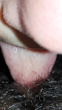 Como su coño muy peludo y rápidamente la llevo al orgasmo