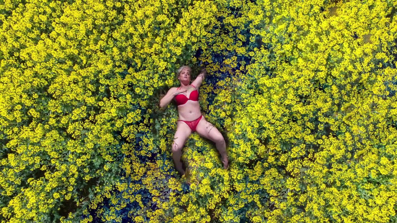 Kylie Britain Adventures: Birds Eye View