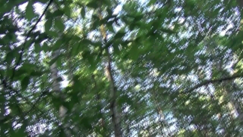 Gaybareback: Gay scopato dal ragazzo hakim che fa crociera nella foresta