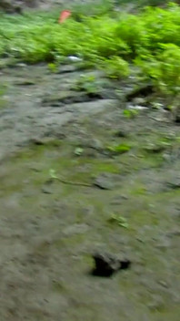 Porn Video Leo-galvezmo05