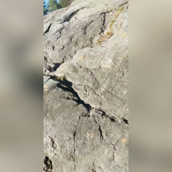Spuirtcouplexxxx: 8 minutes, compilation de pisse et de squirt - douche dorée