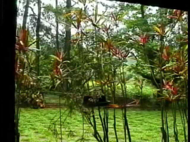 Wild Suckers: 性感的金发荡妇在外面的地板上被性交和舔