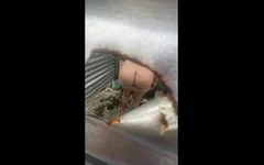 Камера на улице, латина Culolona в любительском видео