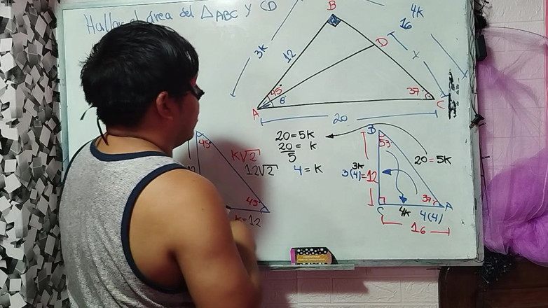 Rosaroja: 12 Trigonometry: Notable Triangles
