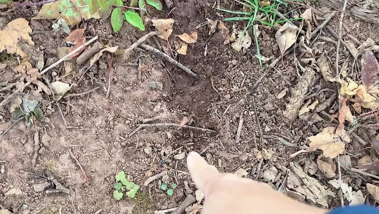 sweethanajapanese: Elma BahçesindeKi Suyu Boşalt