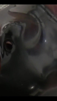 अब पूरी क्लिप