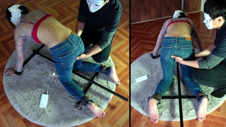 ushirosugatanomiki: A Woman Is Restrained on All Fours and Left at...