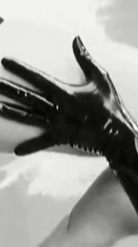 Bienvenue Dans Le Royaume Du Désir Noir