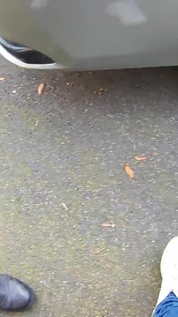 Dick Flash - I Pull Out My Cock in Front of a Hot Girl Bet... Public Street and She Helps Me Cum - Real Very Risky