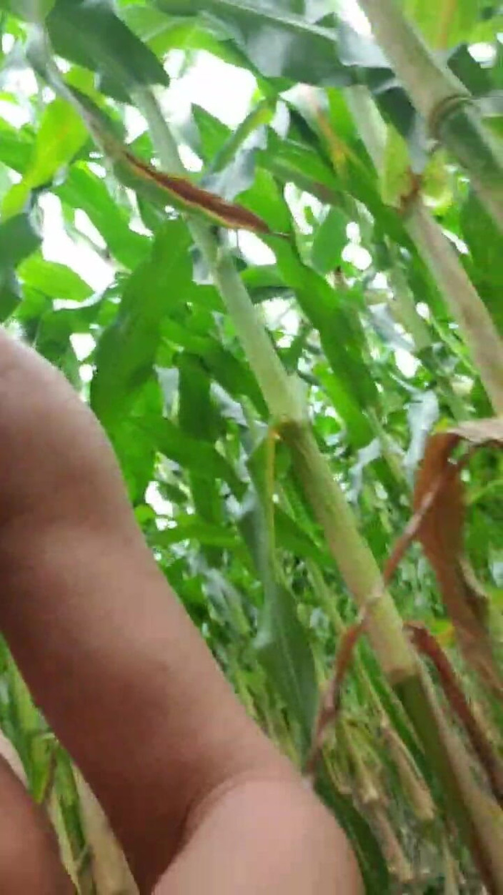 JulieEroticDress: Muncrat di luar ruangan